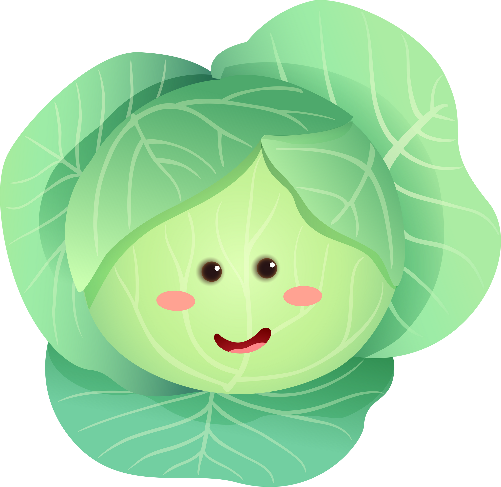 Cabbage Cartoon Illustration