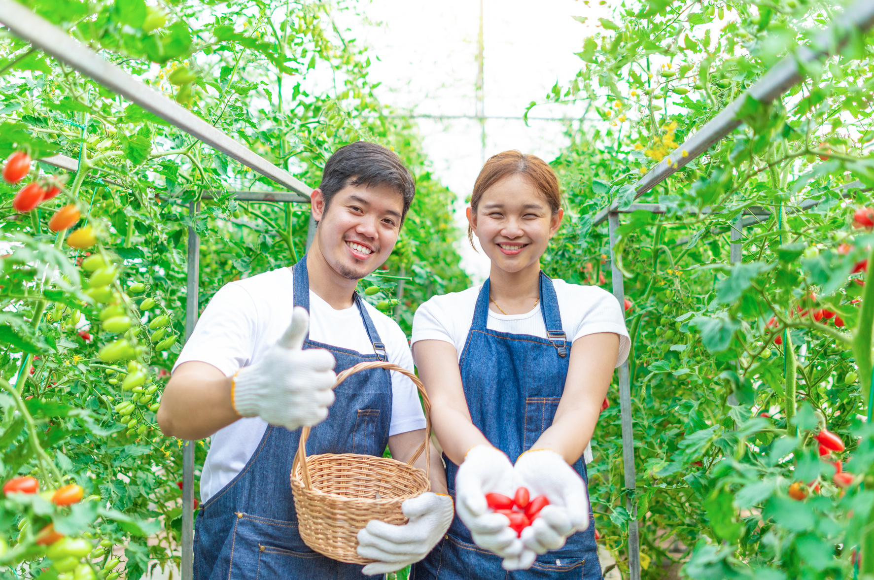 young Japanese farmer